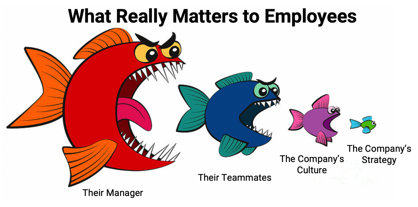 Why Your Company's Culture Doesn't Matter (